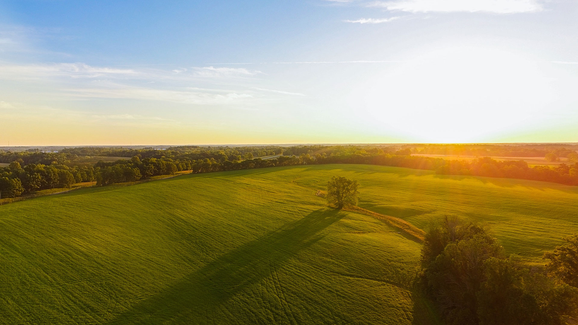 好博官网自有农场数量和规模亚洲第一