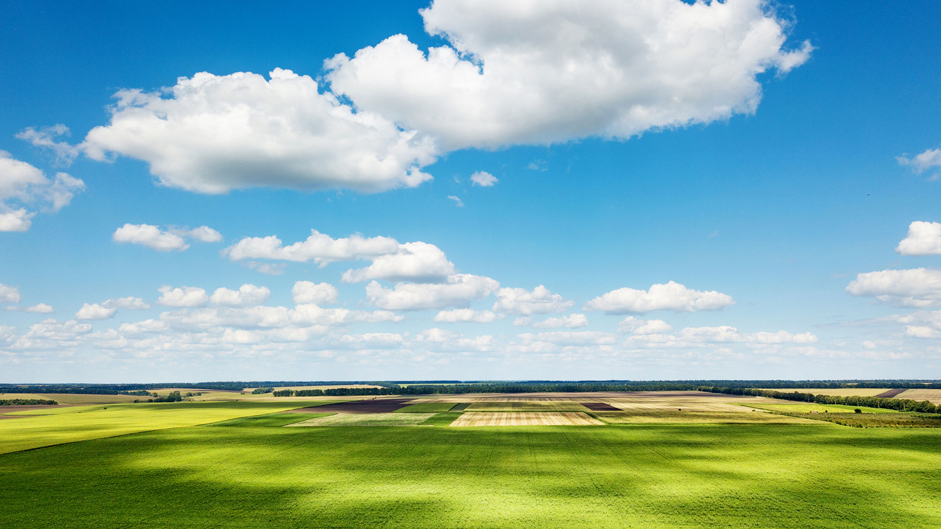 好博官网在全国布局30个国际标准的自有生态农场